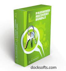 Password Recovery Bundle 8.4.4.2 Crack