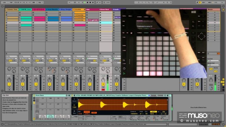 for iphone instal Ableton Live Suite 11.3.4 free