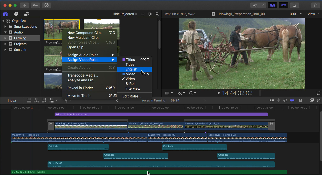 neat video for final cut pro