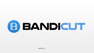 Bandicut 3.6.8.709 Crack